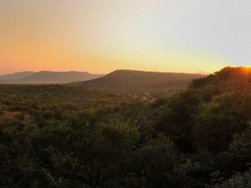 Buffalo Ridge Safari Lodge