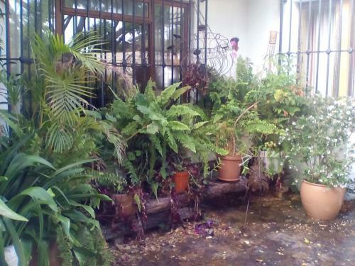 Hostal Litsa