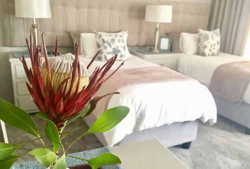 Apartamento Se La Vie Guest Suite