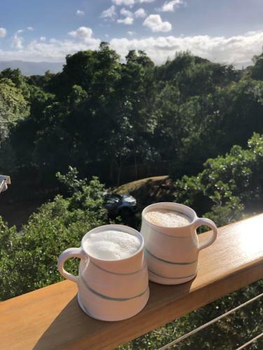 Knysna Log Home - Brenton On Lake