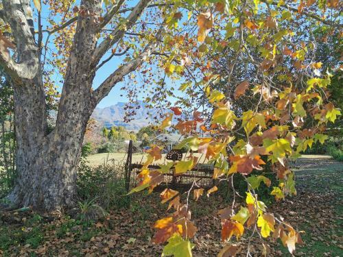 Agroturismo Swallowfield Rondavels