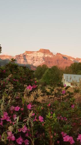 Agroturismo Swallowfield Rondavels