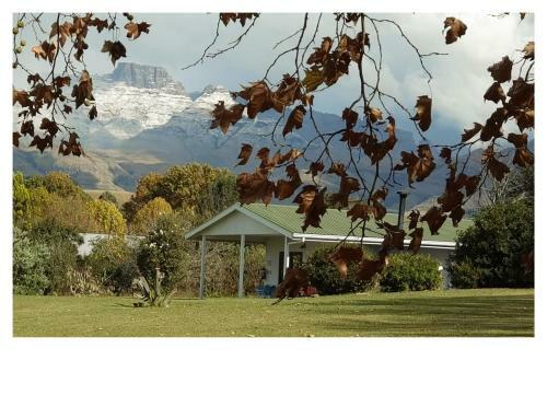Swallowfield Cottage
