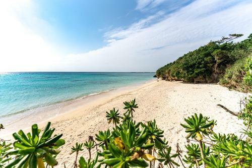 Green Beach House Iezima / Vacation Stay 8892