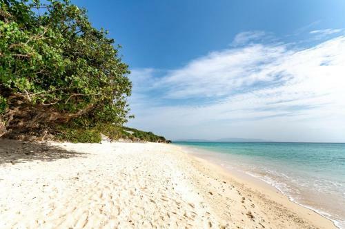 Green Beach House Iezima / Vacation Stay 8892