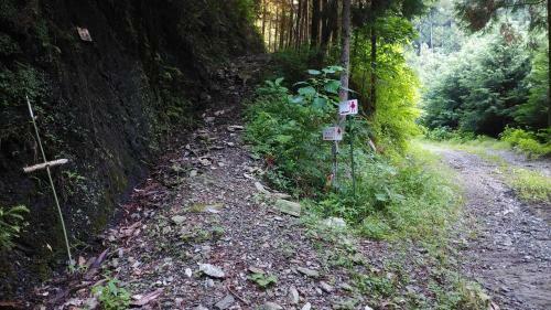 Walking Pilgrimage Hotel Tokiwa Ryokan
