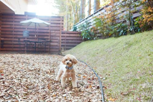 Hotel Le Chien Kyukaruizawa