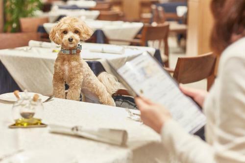 Hotel Le Chien Kyukaruizawa