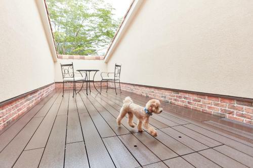 Hotel Le Chien Kyukaruizawa