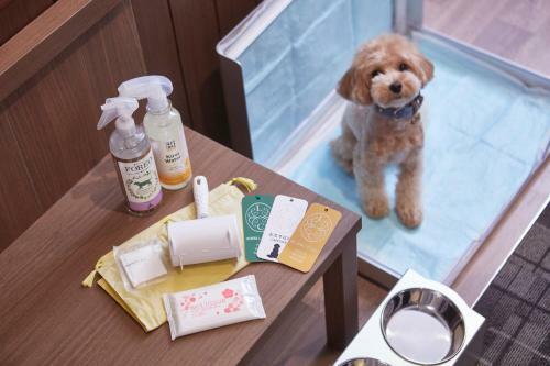 Hotel Le Chien Kyukaruizawa