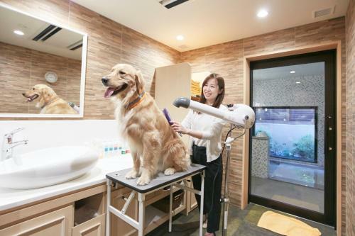 Hotel Le Chien Kyukaruizawa