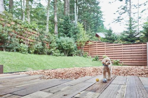 Hotel Le Chien Kyukaruizawa