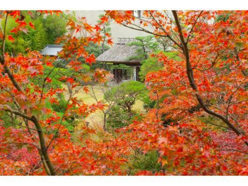 Hotel Dogo Onsen Funaya - Vacation Stay 54212v