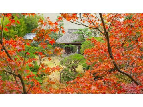Hotel Dogo Onsen Funaya - Vacation Stay 54207v