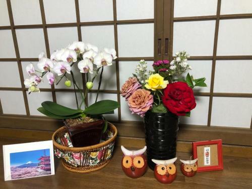 Hostal Fukurou No Oyado - Vacation Stay 71438v