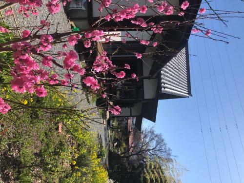 Hostal Fukurou No Oyado - Vacation Stay 71438v