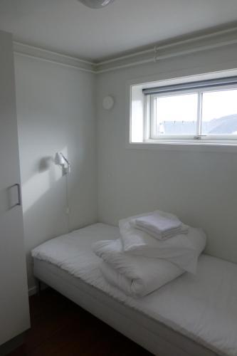 Icecap Apartments