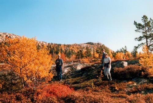 Lodge Vr�dal Hyttegrend