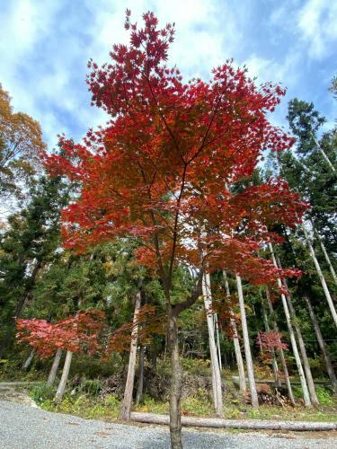 Hakuba Kaede House