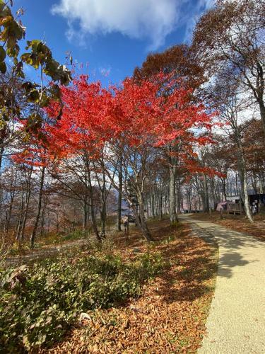 Hakuba Kaede House