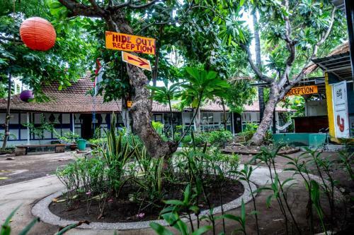 Albergue The Hideout
