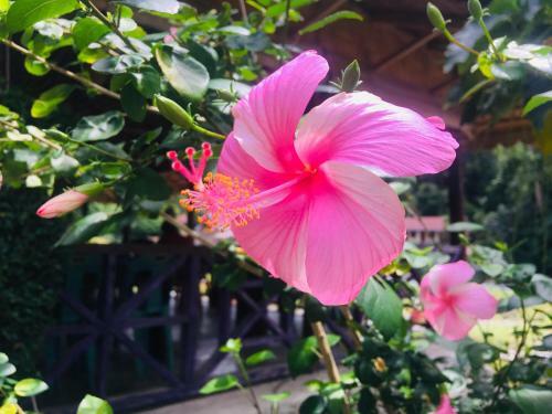 Hotel Sahnan Guest House