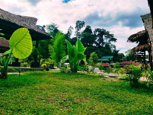 Green Travelodge Bukit Lawang