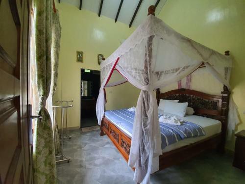 Hostal Thomas Retreat