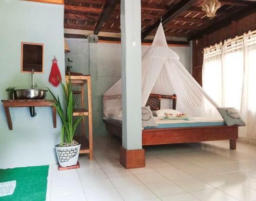 Hostal Sumatra Orangutan Explore