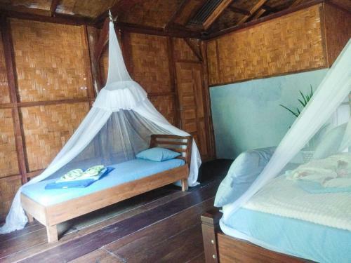 Hostal Sumatra Orangutan Explore
