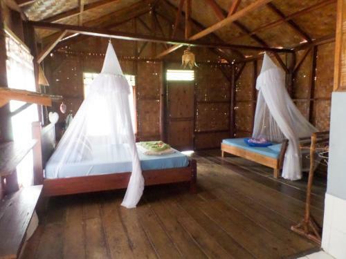 Hostal Sumatra Orangutan Explore