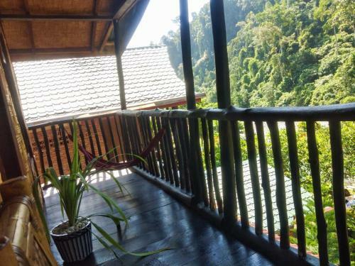 Hostal Sumatra Orangutan Explore