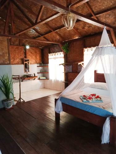 Hostal Sumatra Orangutan Explore
