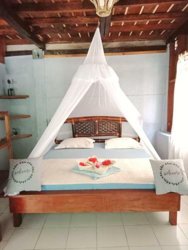 Hostal Sumatra Orangutan Explore