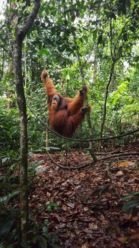 Grandma Guest House