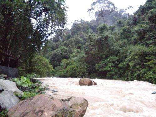Albergue Jungleriver