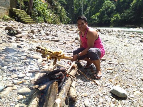 Albergue Jungleriver