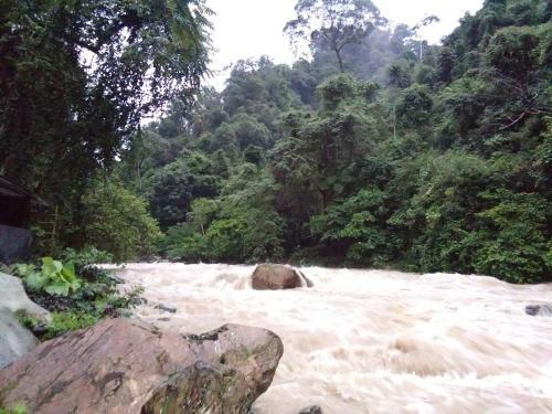 Albergue Jungleriver