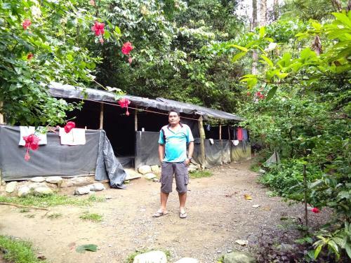 Albergue Jungleriver