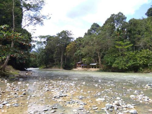 Albergue Jungleriver