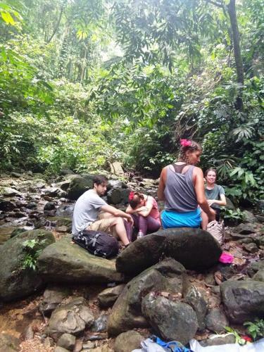 Albergue Jungleriver