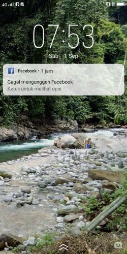 Albergue Jungleriver