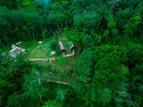 Lodge Orangutan Bungalow