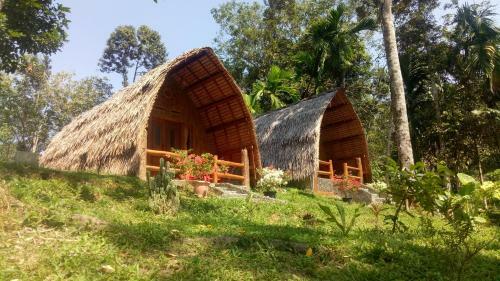 Lodge Orangutan Bungalow