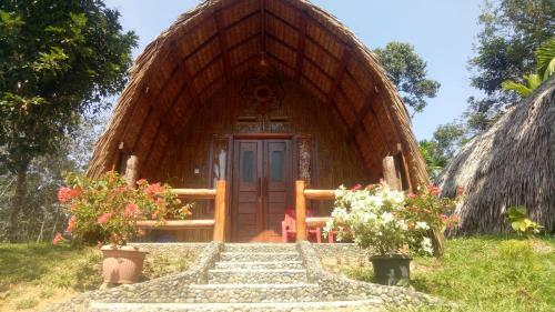 Lodge Orangutan Bungalow