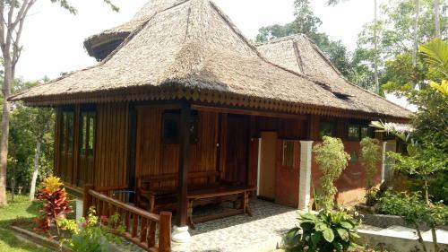 Lodge Orangutan Bungalow