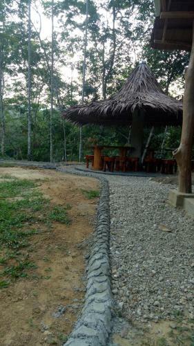 Lodge Orangutan Bungalow