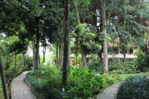 Ecolodge Bukit Lawang