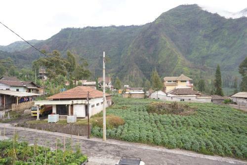 Hostal Homestay Lereng Bromo
