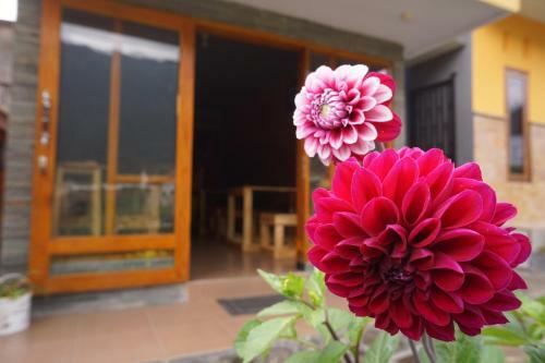 Hostal Homestay Lereng Bromo